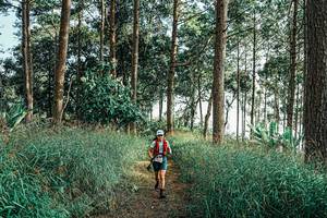 BIB: 
                            <button type="button" onclick="openModal(25659335)" class="btn btn-primary btn-sm float-right btn-popup" data-toggle="modal" data-target=".modal-high-quality">
                        <i class="fas fa-shopping-cart"></i> Add to Cart
                    </button>
                                            <button type="button" onclick="isThisMe(25659335, true)" class="btn btn-success btn-sm float-right btn-popup btn-isme hidden" data-toggle="tooltip" data-placement="bottom" title="นี่คือรูปของคุณใช่ไหม คลิกที่นี่เพื่อเอาเข้าอัลบั้ม">
                        <i class="fas fa-plus"></i> Add to album
                    </button>
                    <button type="button" onclick="isThisMe(25659335, false)" class="btn btn-warning btn-sm float-right btn-popup btn-isnotme hidden">
                        <i class="fas fa-ban"></i> Remove from album
                    </button>